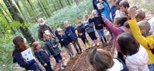 GS-decouverte-foret02
