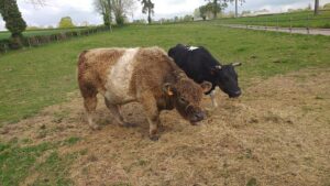 Sortie-ferme-TPS-PS-260422 (10)