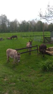 Sortie-ferme-TPS-PS-260422 (5)
